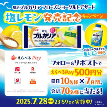 暑い夏の日にすっきりとリフレッシュ！「明治ブルガリア フローズンヨーグルトデザート 塩レモン」新発売