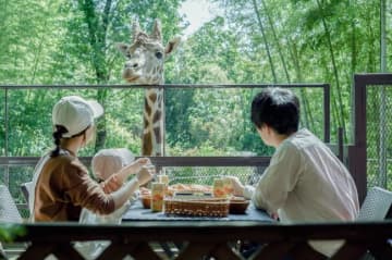 千葉・市原市の「THE BAMBOO FOREST」で「キリンと朝食」をとれる