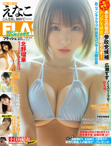 皆藤愛子　グラビア切り抜き　週刊ビッグコミックスピリッツ　No.1188　小学館 皆藤愛子グラビア切り抜き週刊ビッグコミックスピリッツNo.1188