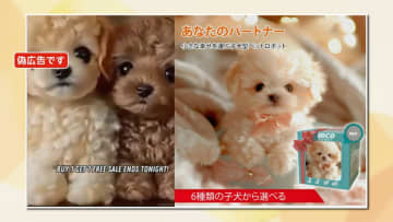 【独自】今度は「AIロボット犬」…即決購入も実物は“昭和のおもちゃ”　ソニーや東大の“お墨付き”うたう偽広告被害　いずれも関与を否定