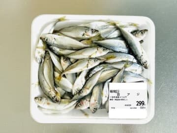 激安の【豆アジ】見つけたらラッキー！「丸ごとウマイ」「簡単です」