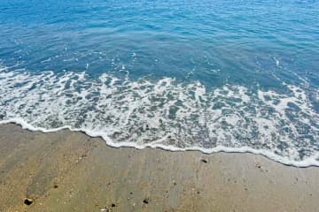 日焼け不可避だけど…　約9割もの人が行ったことのある「夏のレジャー」に納得