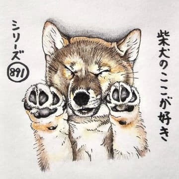 柴犬あるある、不思議ポーズ「シュワッチ寝」が可愛すぎるとこ｜連載「ここ掘れここ柴」vol.292