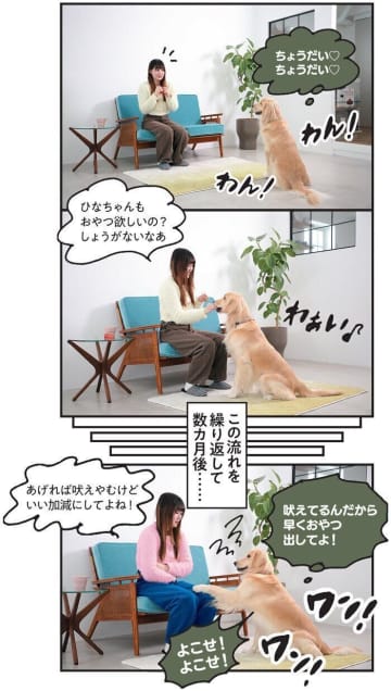 犬のおねだり吠え、問題行動の原因は飼い主さんのNG行動にあり？