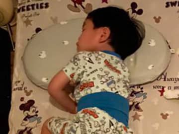 すやすやと眠る猫　横にいるのが？「尊い」「泣ける」