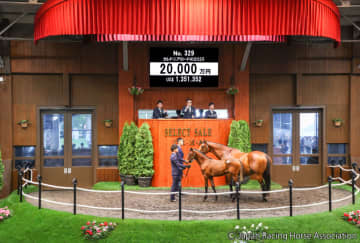 【セレクトセール2025】イクイノックス産駒2億円…米2歳牝馬チャンピオンの母