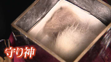 大火から家を守り…オリンピック選手も輩出！？　「フワ～っと生きとる」一族が“守り神”として受け継ぐ「狐の玉」