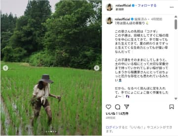 ローラ、ショーパン姿での草取り作業ショット公開！「素晴らしい活動」「ナチュラルで素敵」