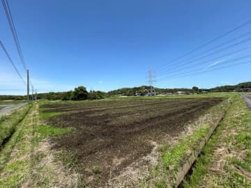 松屋が稲作　水を張らない田での水稲栽培実証