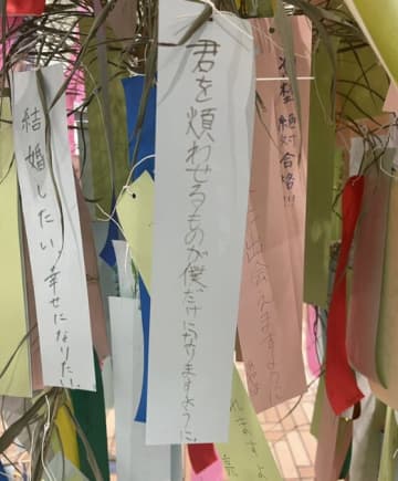 たった一行で、恋に落とす。七夕に現れた“伝説の短冊”、その言葉の魔力に「読んだ瞬間電流走った」とSNS騒然