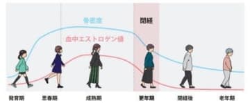 骨のケアに欠かせない「材料と刺激」とは？意外と知らない骨密度と「身体の見た目」の関係性