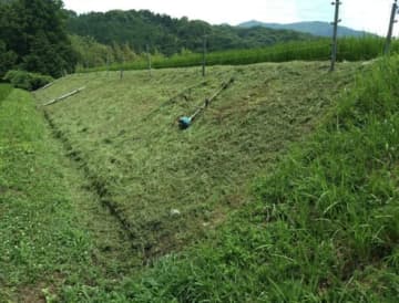 「こういう人が作ったお米こそ、正当に評価されてほしい」39歳女性、父の田んぼを“一人で”守る姿が、多くの共感を生む
