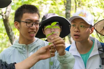 林業大学の学生が自然保護区で実習　中国黒竜江省
