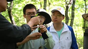 林業大学の学生が自然保護区で実習　中国黒竜江省