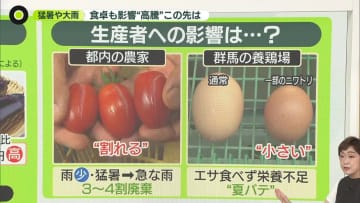 【解説】食料品の価格どうなる…？　猛暑や大雨、食卓にも影響