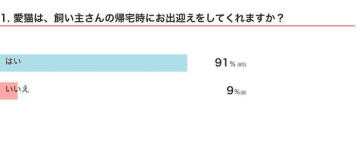 帰宅した飼い主を出迎える猫の実態を調査！　出迎えるコ、出迎えないコに見られる傾向とは｜獣医師解説