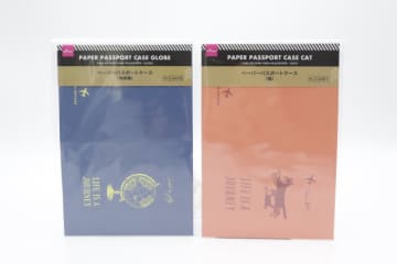 ダイソーさんこういうのが欲しかったよ！軽量＆スリムで持ち運びに便利！使い手目線の優秀ケース