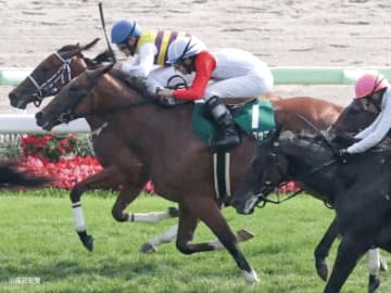 【函館2歳ステークス】前走函館組が主力を形成！連対馬の半数以上を占める新馬組で見る攻略POINT