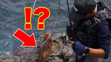 釣れないデカイカに効く！プロが教える「エギ選び」の鉄則とは？【湯川マサタカ】