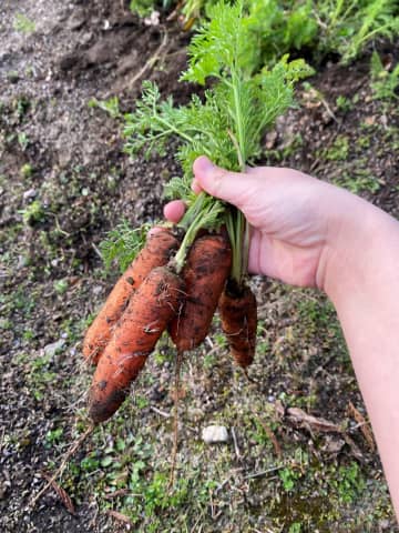 【しまね女子ブログ】子供と島根の暮らし