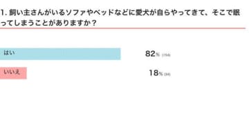 「飼い主のそばにやってきて眠る犬の実態」を調査！　行動からわかる心理とは｜獣医師解説