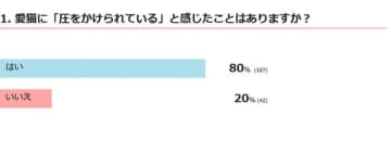 【調査】愛猫が「圧をかけてくる」ことはある？　獣医師の解説つき