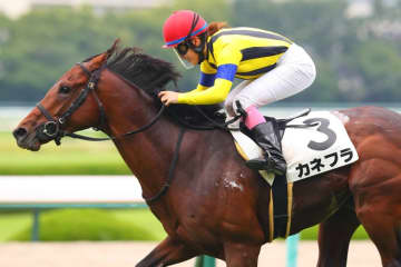永島まなみは小倉記念参戦…女性ジョッキー騎乗馬