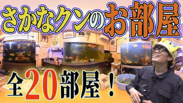 さかなクンのルームツアー動画に衝撃　“まるで水族館”の空間に視聴者「流石にレベチ」