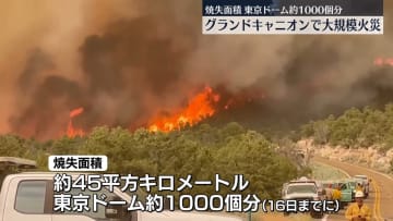 グランドキャニオンで火災…鎮火のめど立たず　焼失面積は東京ドーム約1000個分