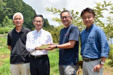 ハウス食品グループら 山椒の産地形成へ前進 宮崎県高千穂町で初収穫