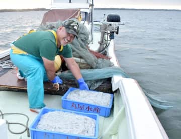 シラウオ水揚げ　トロール漁解禁　霞ケ浦と北浦　「量まずまず」　茨城