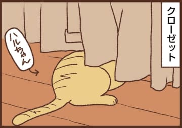【吉川さん家の猫事情】#102話 我が家の熱中症対策