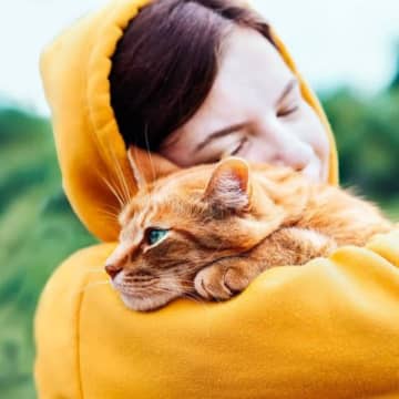 亡くなった愛猫からのメッセージ？看板にあらわれた「大好きな猫の名前」　米国