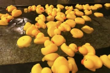 【夏休みの工作に】あひるのお池づくり♩かわいい世界観を堪能しよう！