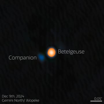 オリオン座のベテルギウスで伴星を発見？ 今後の観測に期待