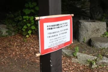 食用？セミの幼虫は「採らないで」都内公園に"異例"の看板、東京都の担当者に「虫取りのルール」聞く