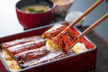 今年は、うなぎ食べた？大戸屋で"国産うなぎ"を使ったうな重が200円引きで食べられるよ～！《残り僅か》
