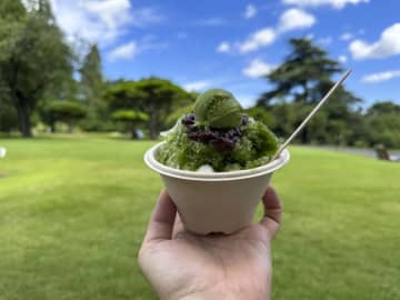 【新宿御苑内の絶品かき氷】カフェ『SAYAIORI＋新宿御苑』で「かき氷 宇治金時スペシャル」をテイクアウト！外で風を感じながら涼を取る！