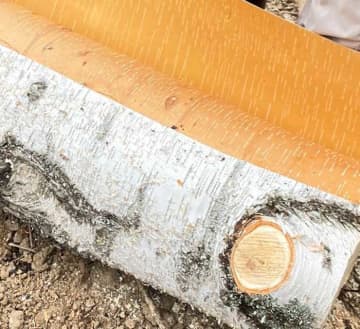 SHIROの白樺フェイスミストが進化♡森の恵みで肌と心を潤して