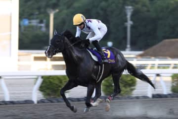 【高知・トレノ賞】井上瑛太＆ロードインファイトが地元で重賞初制覇！5馬身差の圧勝劇