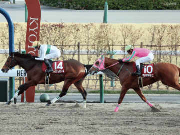 【東海S】万馬券が出た年以外は堅く、振り幅が大きい！過去10年の傾向から見る人気と配当