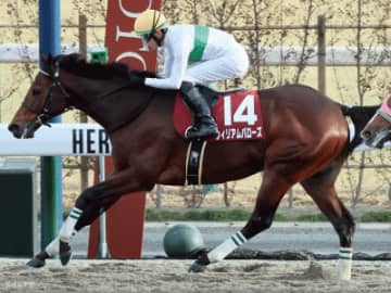 【東海S】休み明けでも評価を下げる必要はない！ステップレースから見る過去10年の傾向
