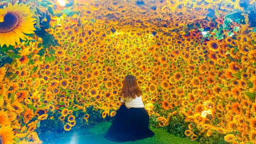 【入場無料】名古屋駅直通！ひまわりで埋め尽くされた屋上が映えスポットすぎた「ひまわりスカイガーデン2025」が期間限定で開催中