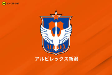 新潟、ハンマルビーから元U－19スウェーデン代表FWの加入内定を発表！…背番号は「65」に
