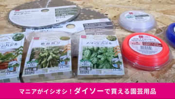 「ホームセンター並の品ぞろえ！」「これでいい」ダイソーの園芸用品3選！草刈り機用のブレードが550円!?