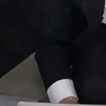引っ越し業者さんの説明を受けていたら、猫が……『まさかの行動』が可愛すぎると9万再生「教育係？ｗ」「ちゃんと見てるｗｗ」と爆笑の声