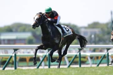 【新馬/函館5R】ブリクスアンドモルタル産駒 ハイヤーマークがデビューV