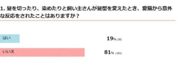髪型を変えた飼い主さんに対する愛猫の反応を調査！獣医師の解説も