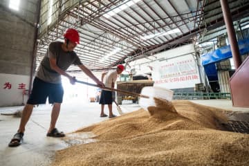 農繁期の米農家支える穀物乾燥機　中国湖南省常徳市