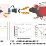 「痛い！」の音は他者にも痛みを伝搬させる　東京理科大学